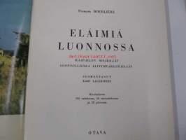 Eläimiä luonnossa