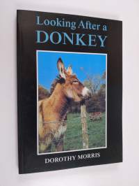 Looking after a donkey