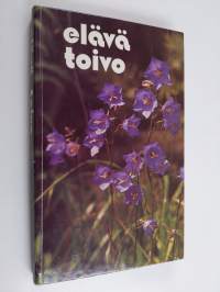 Elävä toivo : Uuden testamentin sanomaa (Paavalin kirje Filemonille - Johanneksen ilmestys) Elävän uutisen mukaan
