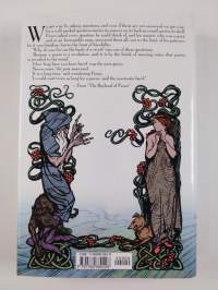 Irish Fairy Tales