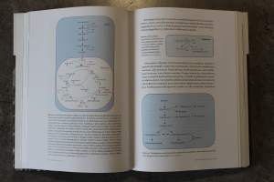 Sienten biologia