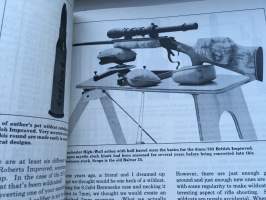 Rifle guide