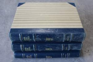 Ekenäs Stads Historia 1-3