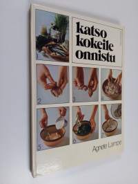 Katso, kokeile, onnistu