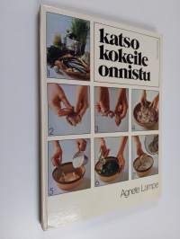 Katso, kokeile, onnistu