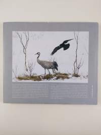 Lintujen Oulu = Birds of Oulu Region