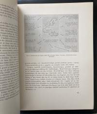 Lots -och Fyrväsendets i Finland Historia Intill år 1808