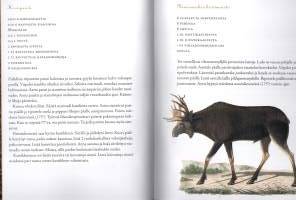 Pihalla kasvaa lammaskaali - Omavarainen kokki