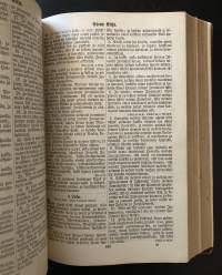 Biblia - Se on pyhä Raamattu, Wanha ja Uusi testamentti