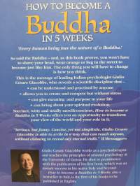 How to become a Buddha in 5 weeks