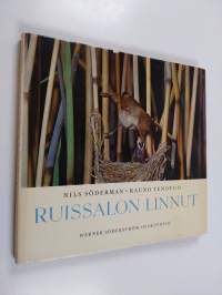 Ruissalon linnut