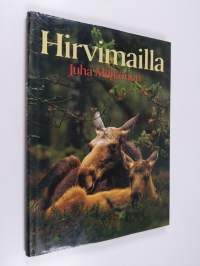 Hirvimailla