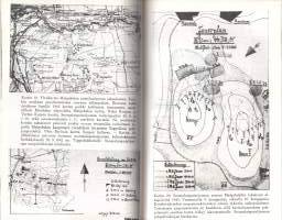 Panttipataljoona - Suomalaisen SS-pataljoonan historia