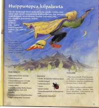 Velhokoulu - Loitsuja, temppuja, taruja ja uskomuksia sekä 50 taikuutta tihkuvaa askarteluohjetta, 2002.