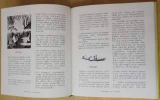 Muumipeikon luontoretki