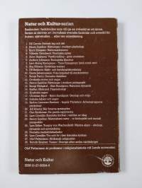 Afrikansk religiositet