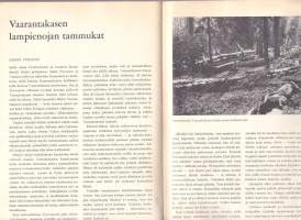 Metsästys ja kalastus 1966 N:o 1 tammikuu.  Majava; kirjotaimen vai kirjolohi; Romanian riistamailta; kalojen talvi; HUOM! keskiaukeaman pyyntikalenteri tallella!
