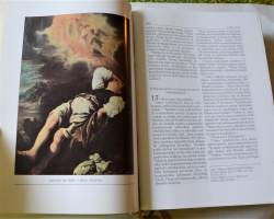 Joka kodin kuvaraamattu + kotelo Vanha Testamentti, Uusi Testamentti, Apokryfikirjat