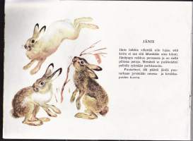 Tule tutuksi eläinten kanssa, 1988. Lasten opettavainen tarinakirja eläimistä.