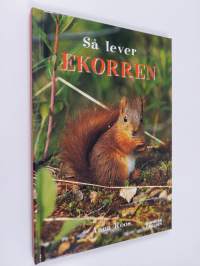 Så lever ekorren