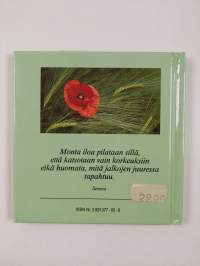 Ilon hetkiä