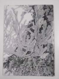 OPTIMISTI 1/80 : HOLLOLAN NUMERO