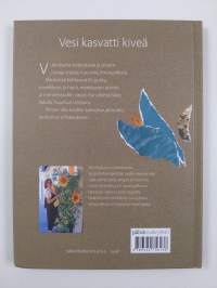 Vesi kasvatti kiveä