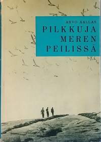 Pilkkuja meren peilissä. (Saaristot, linnut, luonto, kalastajat, kauno)