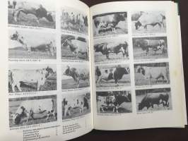 Suomen ayrshirejalostuksen historia 1951-1981