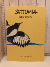 Sattumia Lapinlahdelta