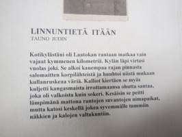 Linnuntietä itään -karjalaislähtöisen Judinin muistelmia / elämäkerrallsit kerrontaa