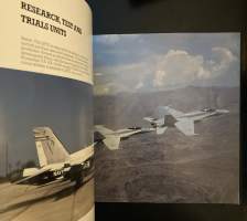 F-18 Hornet - Multi-Mission Warplane