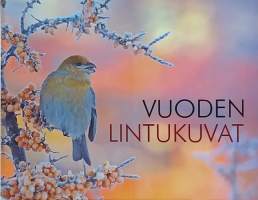 Vuoden lintukuvat. (Valokuvat, kuvateos, luonnonvalokuvaus, linnut)