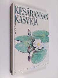 Kesärannan kasveja