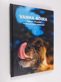 Vanha koira