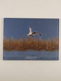 Black-faced Spoonbill : Conservation of birds postage stamps pictorial