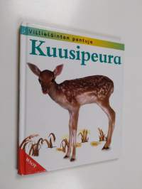 Kuusipeura