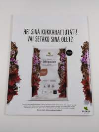 Avotakka 6/2019