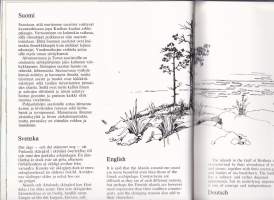 Suomi - Finland - Finnland, 1988. 4.uud.p. Kattavan monipuolinen matkailukirja ja kuvateos Suomen kulttuurista, nähtävyyksistä, erikoisuuksista.