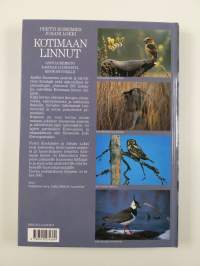 Kotimaan linnut