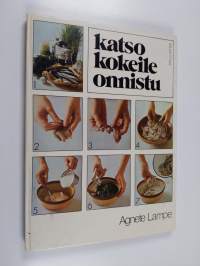 Katso, kokeile, onnistu