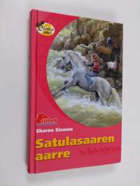 Satulasaaren aarre