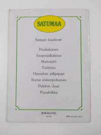 Hamelnin pillipiipari