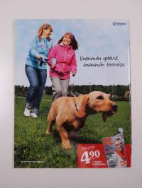 IS Lifestyle : Sienet