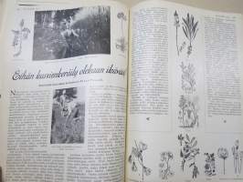 Kotiliesi 1933 vuosikerta -kotien yleisaikakauslehti, kansikuvitukset Rudolf Koivu