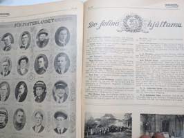 Veckans Krönika 1918 nr 34, Anna Halgelstam, Ett småbruk  från Malaks i Österbotten, De fallna hjältarna Erland Halsas - K.J. Helenelund -  Knut Laag - J.G. Rosenlöw