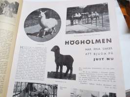 Helsingfors Journalen 1937 nr 13, Har Edelfelt inspirerat Maupassant?, Sund sommar vid Fiskartorpet, Gerknäs sommarteater, Högholmen, Visit på Provender (Borgström)