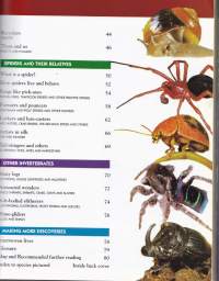 Amazing Facts about Australian Insects and Spiders. Vol. 5