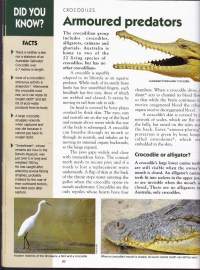 Amazing Facts about Australian Frogs and Reptiles. Vol. 4