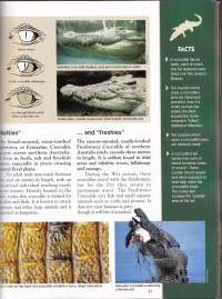 Amazing Facts about Australian Frogs and Reptiles. Vol. 4